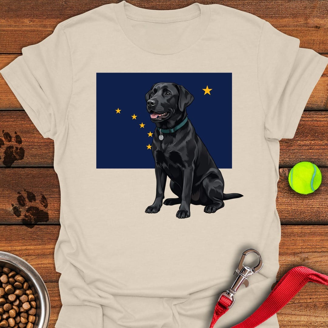 Black Labrador Alaska Natural