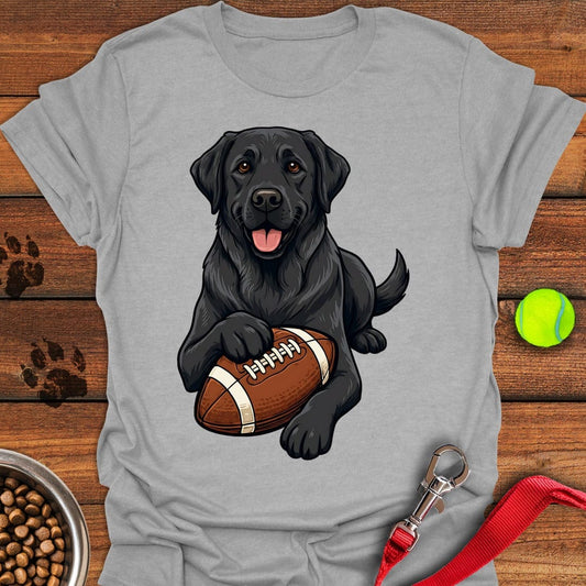 Black Labrador Football Sport Grey