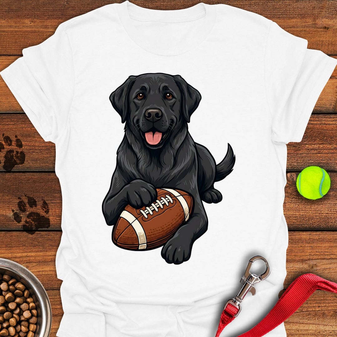 Black Labrador Football White