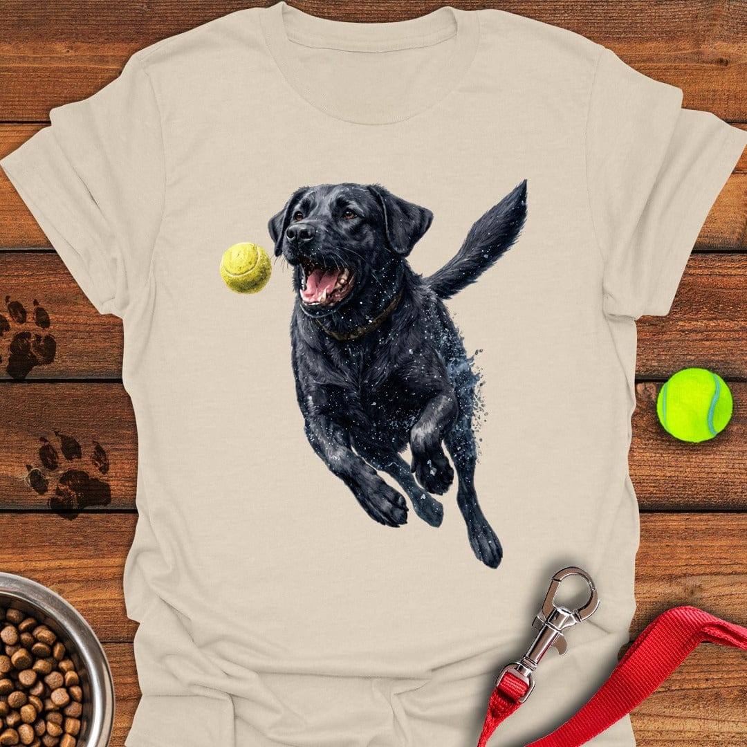 Black Labrador Running Natural