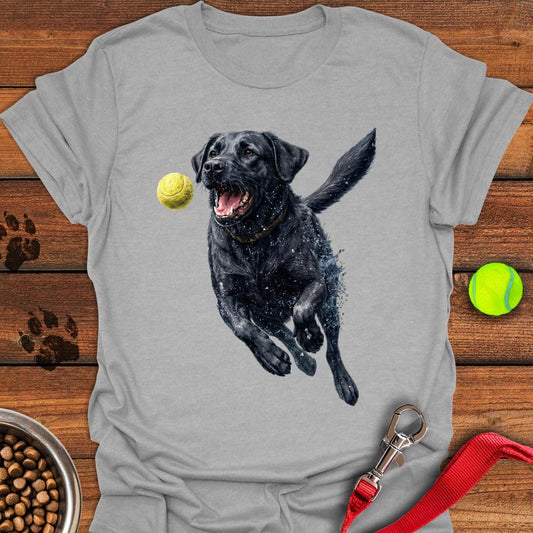 Black Labrador Running Sport Grey