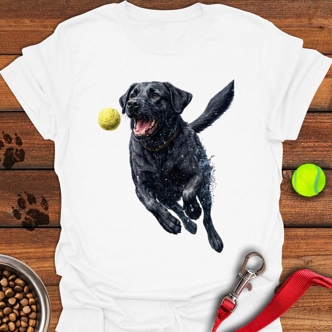 Black Labrador Running White