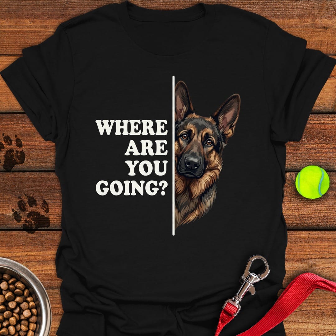 Black and Tan GSD Following Black