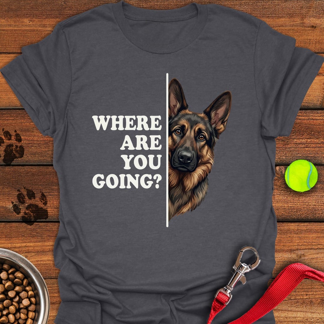 Black and Tan GSD Following Dark Heather