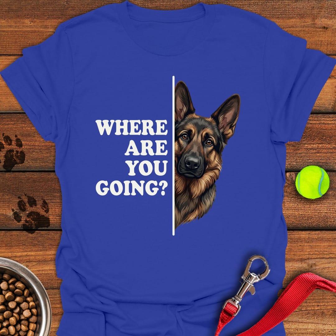 Black and Tan GSD Following Royal