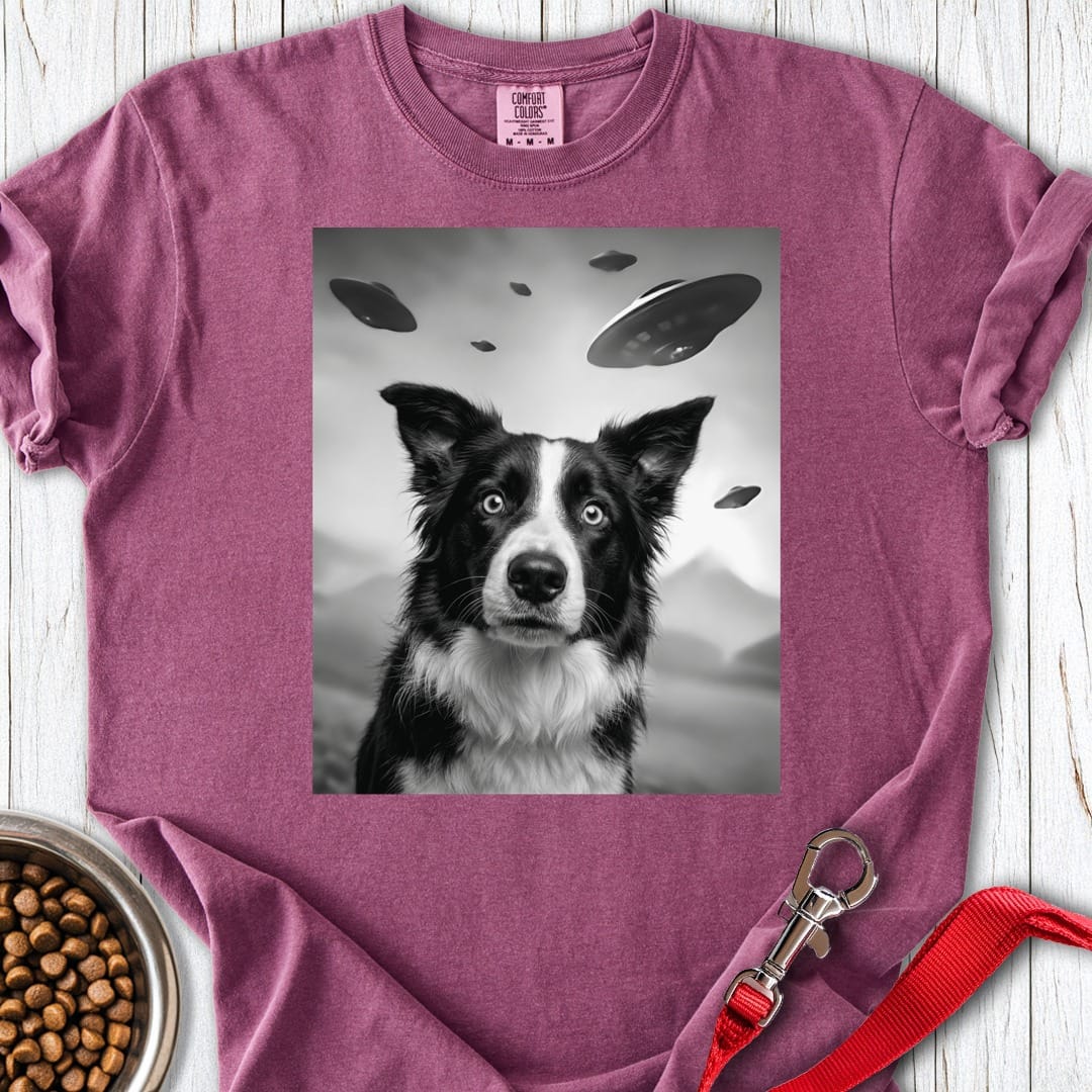 Border Collie UFO Premium Tee Berry