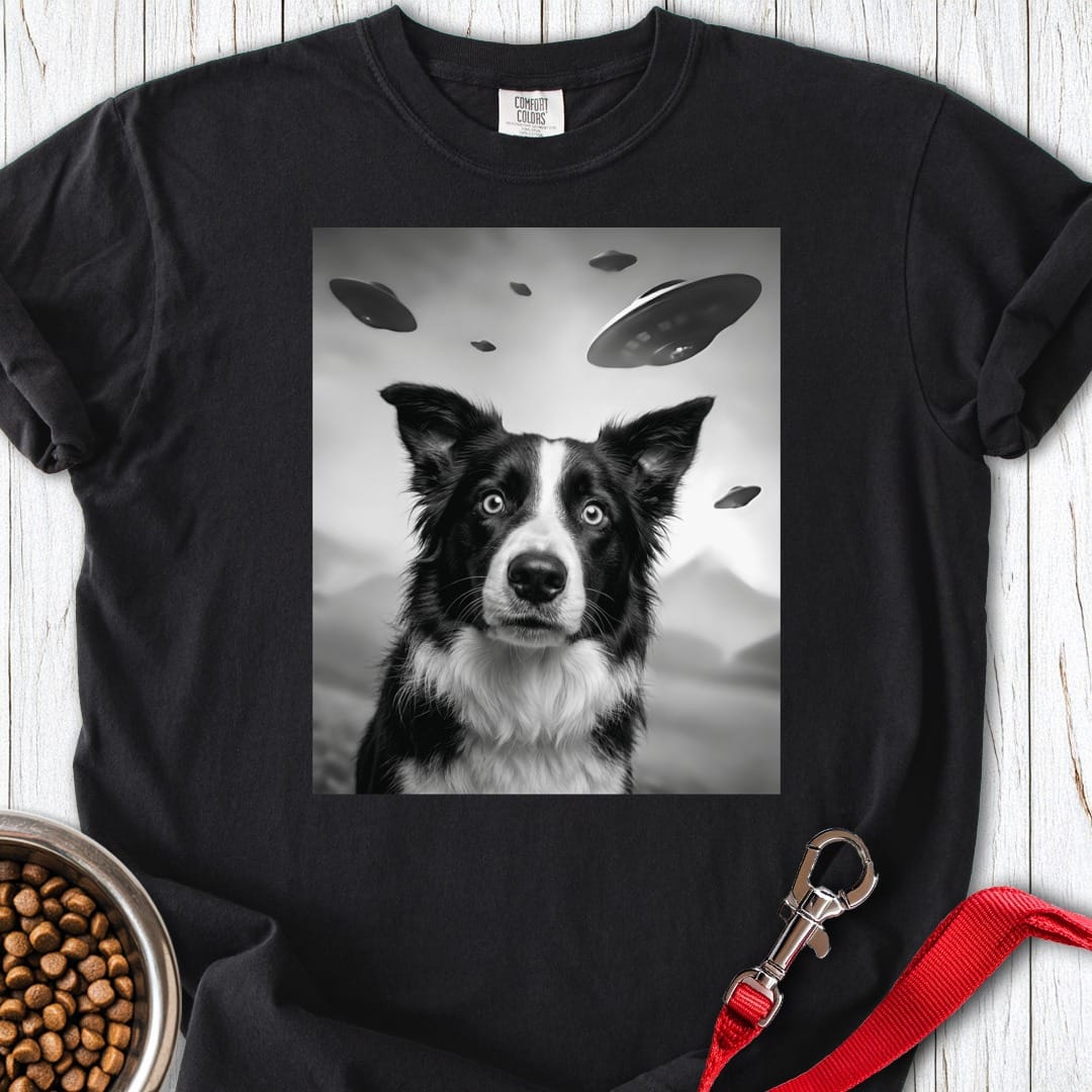 Border Collie UFO Premium Tee Black