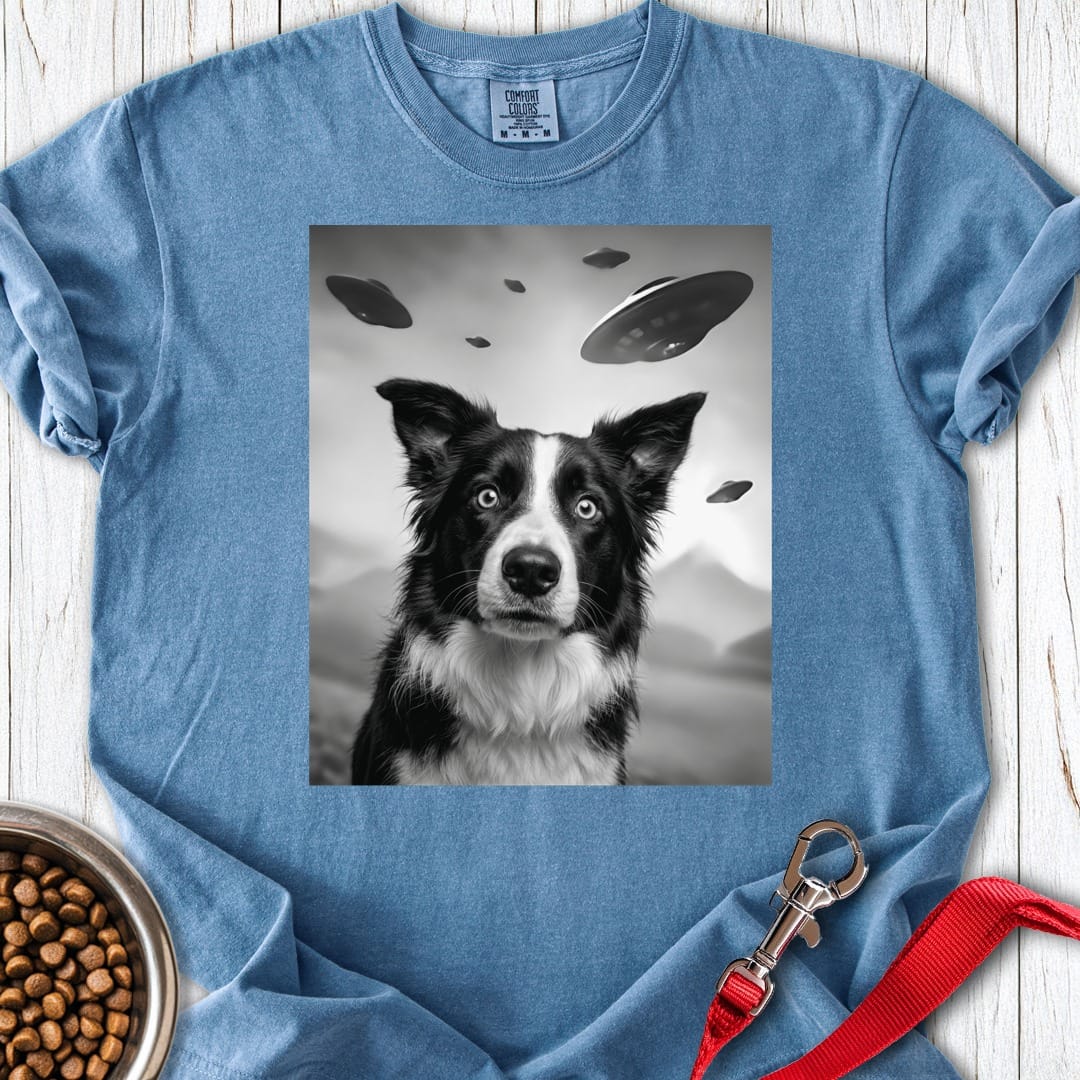Border Collie UFO Premium Tee Blue Jean