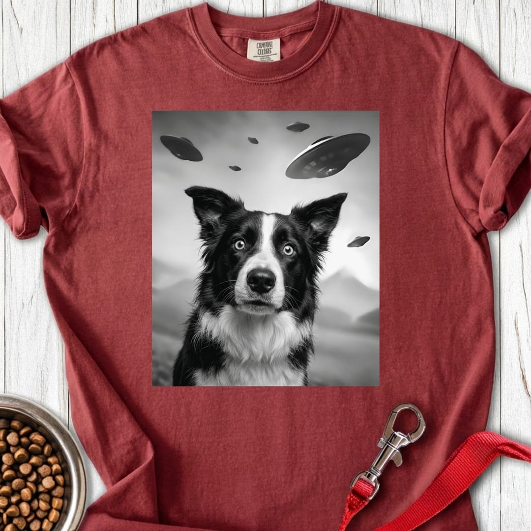 Border Collie UFO Premium Tee Brick