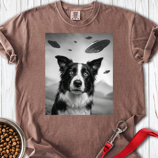 Border Collie UFO Premium Tee Espresso