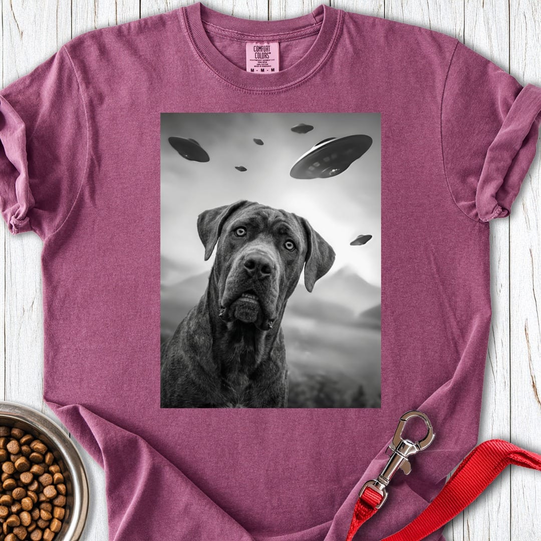 Cane Corso UFO Premium Tee Berry