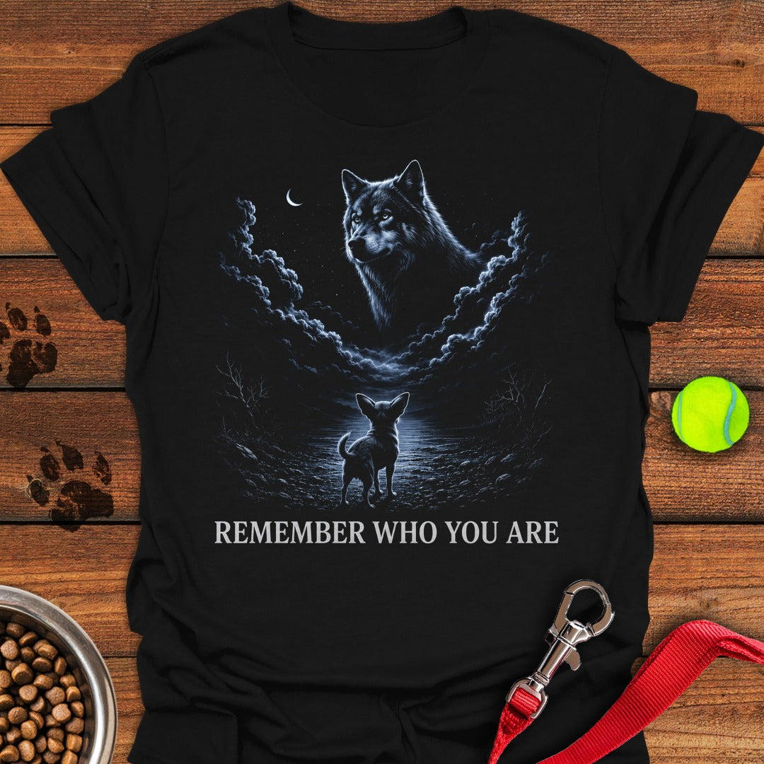 Chihuahua Origin Story Black