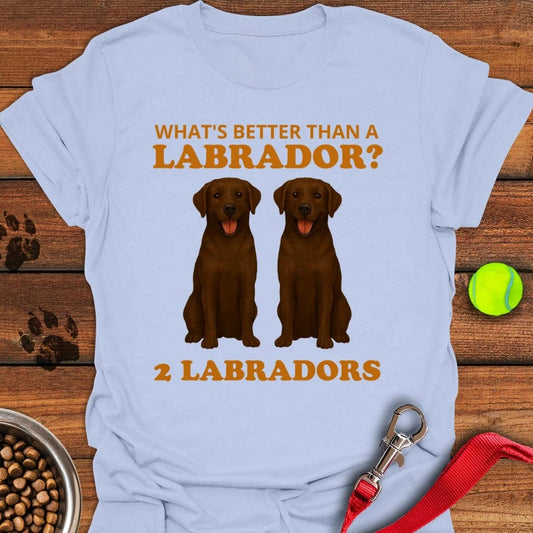 Funny Two Chocolate Labradors T-Shirt Light Blue