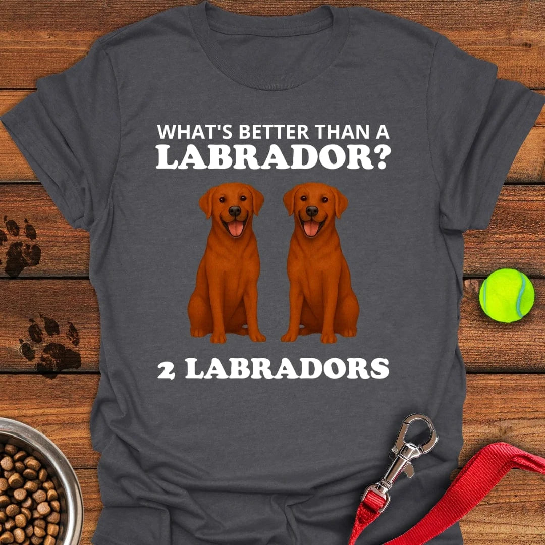 Funny Two Fox Red Labradors T-Shirt Dark Heather