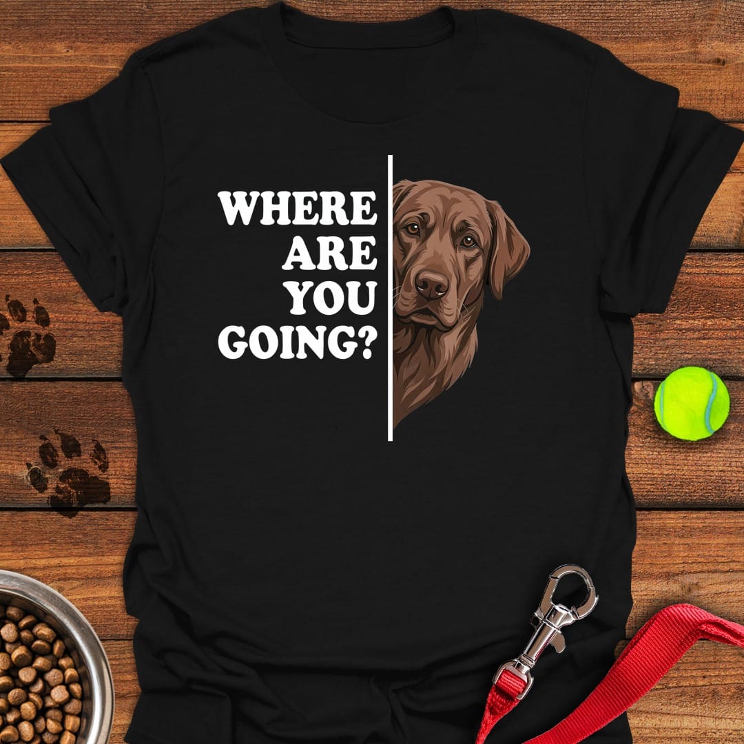 Chocolate Lab Following Black