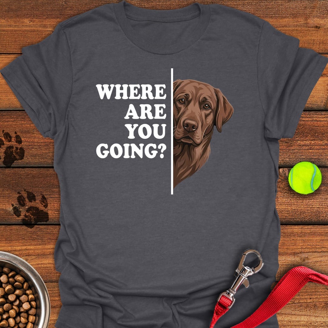 Chocolate Lab Following Dark Heather