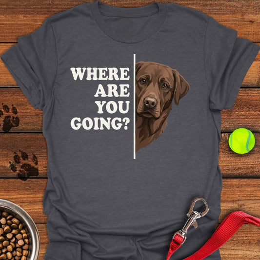 Chocolate Lab Following Dark Heather
