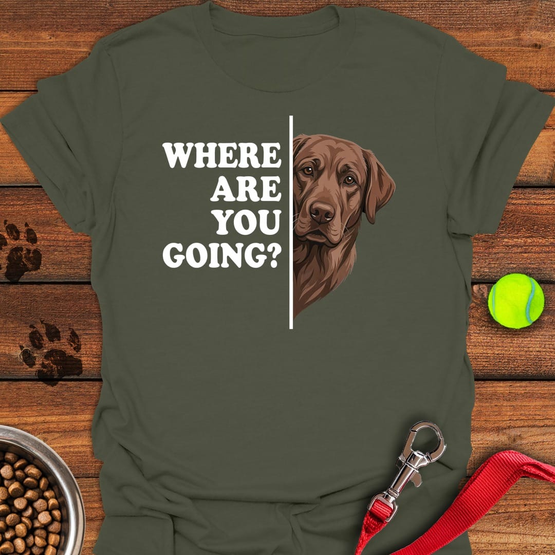 Chocolate Lab Following Military Green