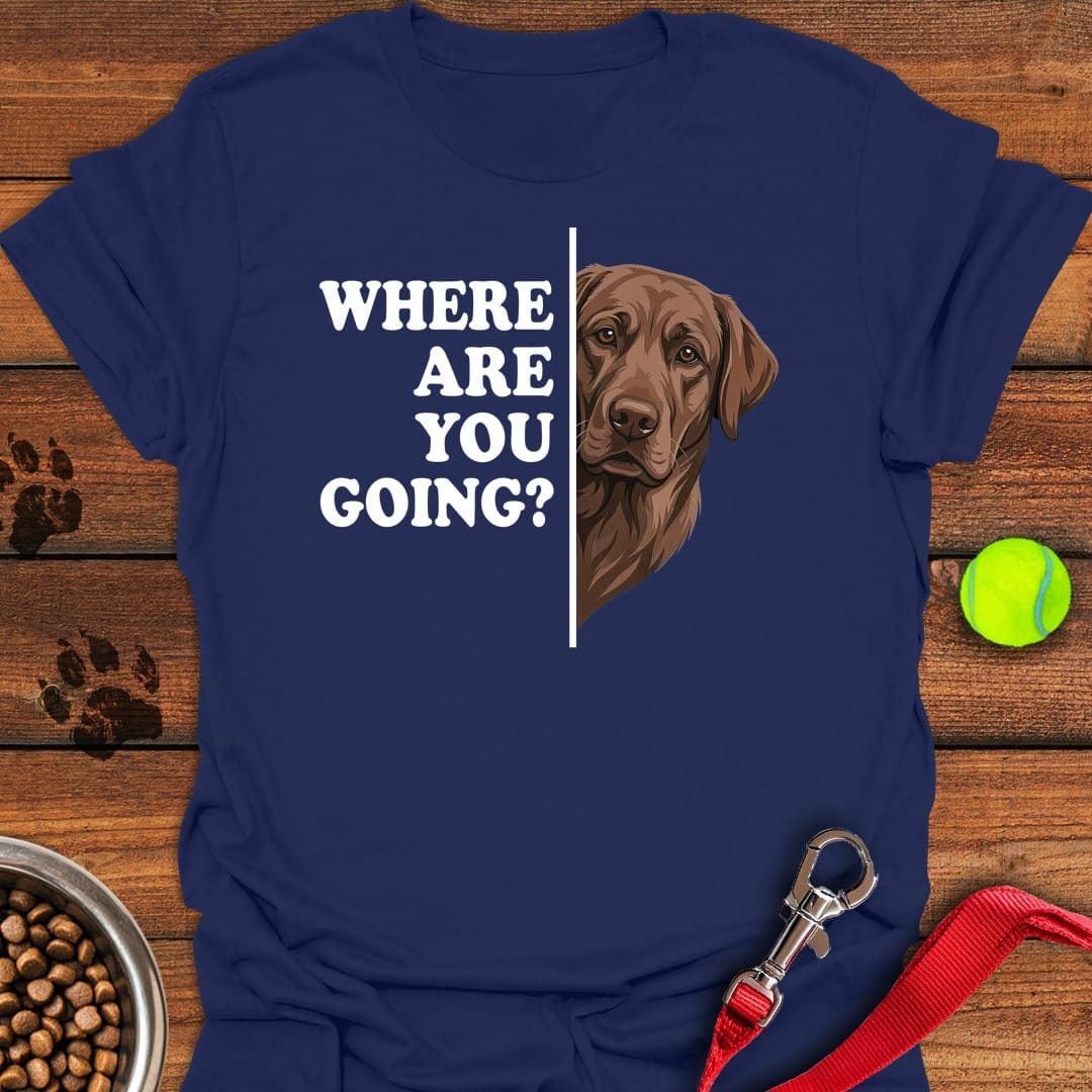 Chocolate Lab Following Navy