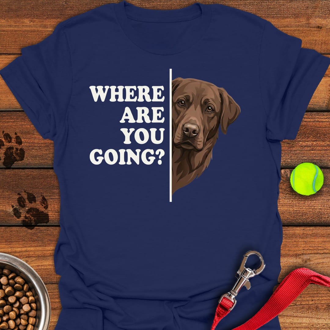 Chocolate Lab Following Navy