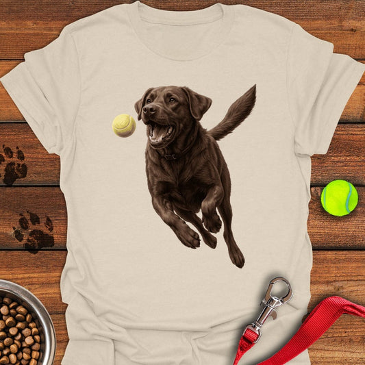 Chocolate Labrador Running Natural