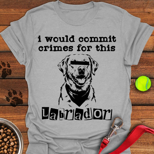 Commit Crimes Labradors Sport Grey