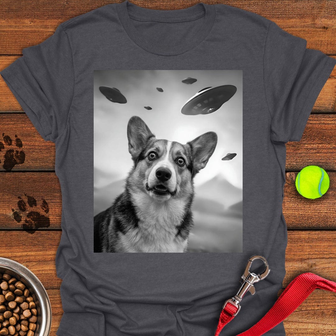 Corgi UFO Dark Heather