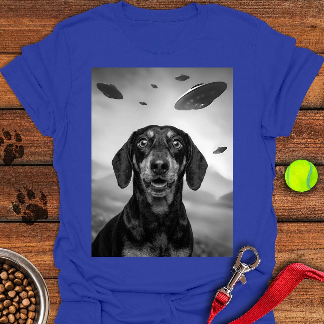 Dachshund UFO Royal