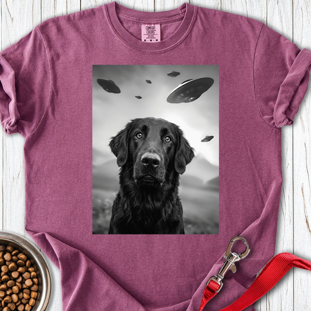 custom-mockup