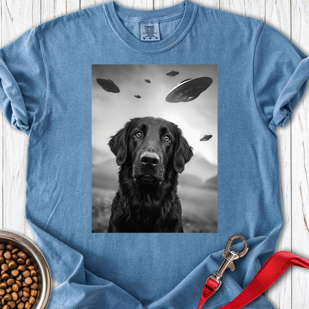 custom-mockup