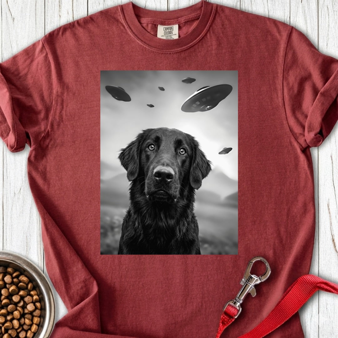 custom-mockup