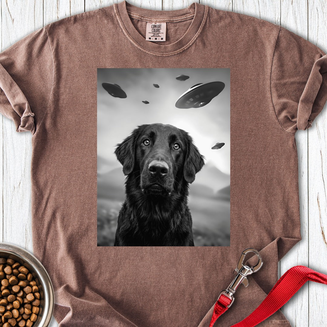 custom-mockup