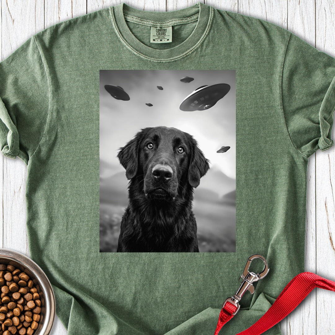 custom-mockup