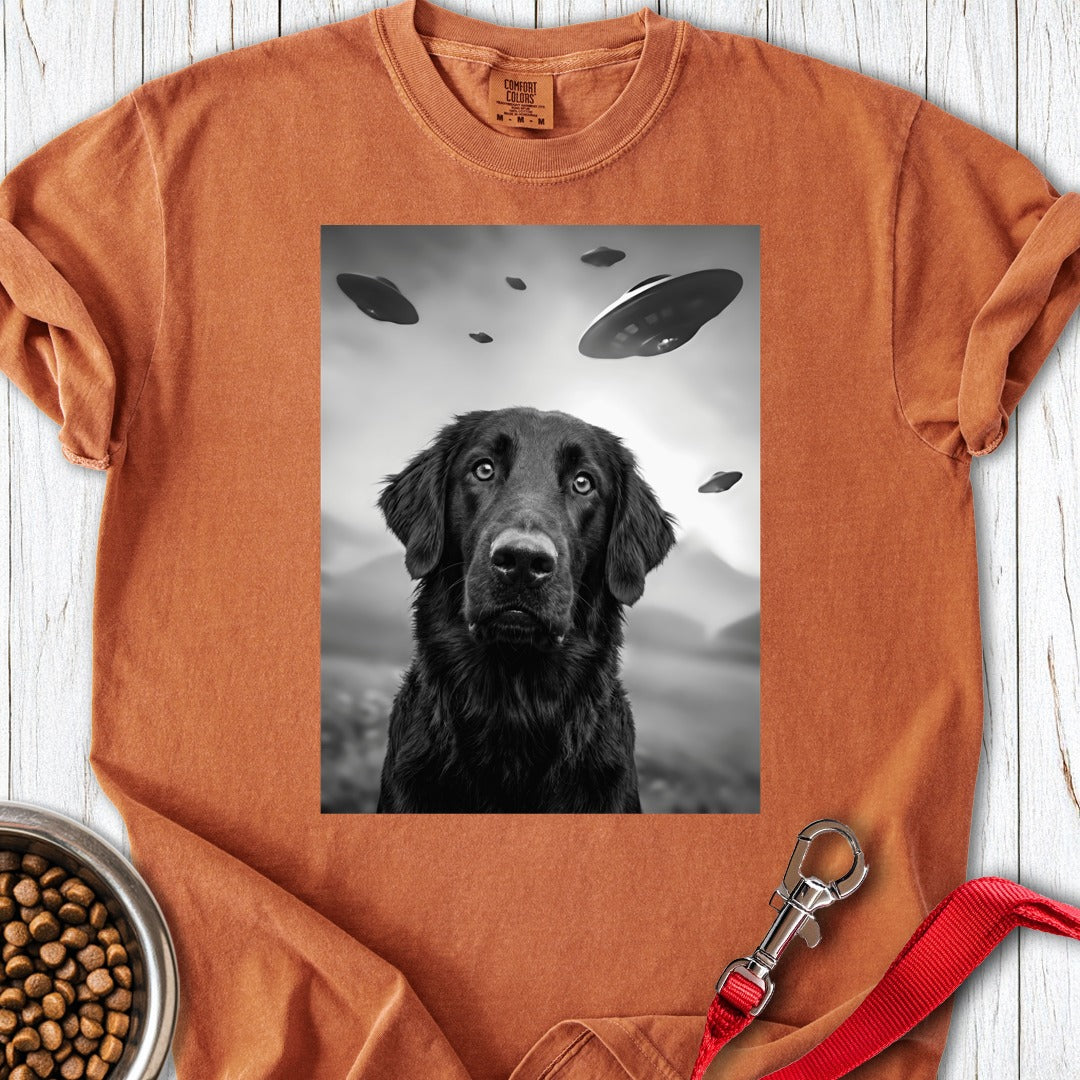 custom-mockup