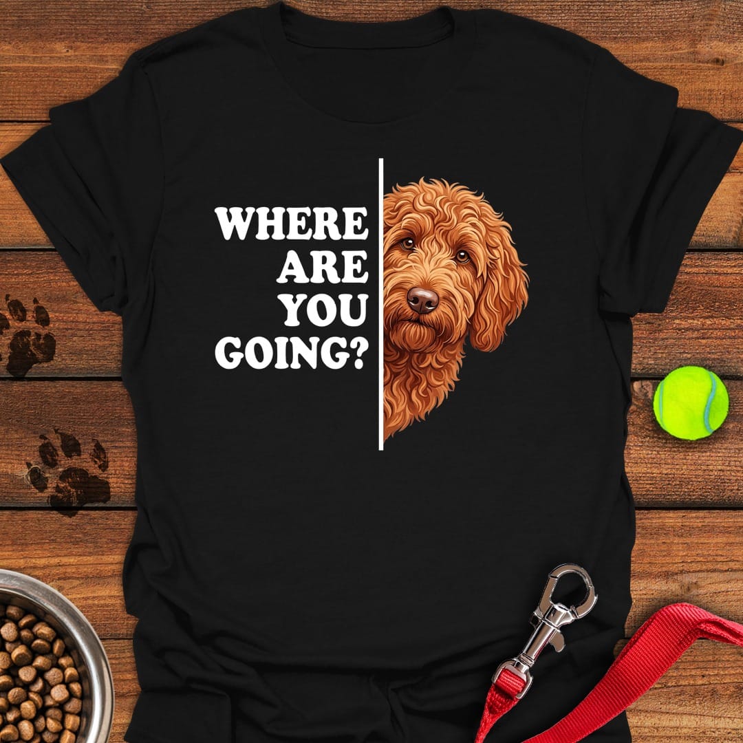 Following Labradoodle Black