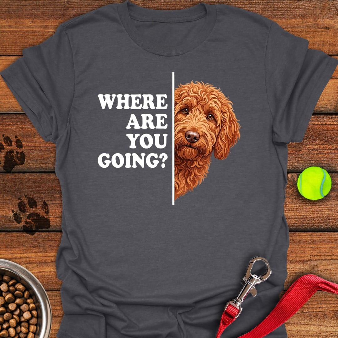 Following Labradoodle Dark Heather