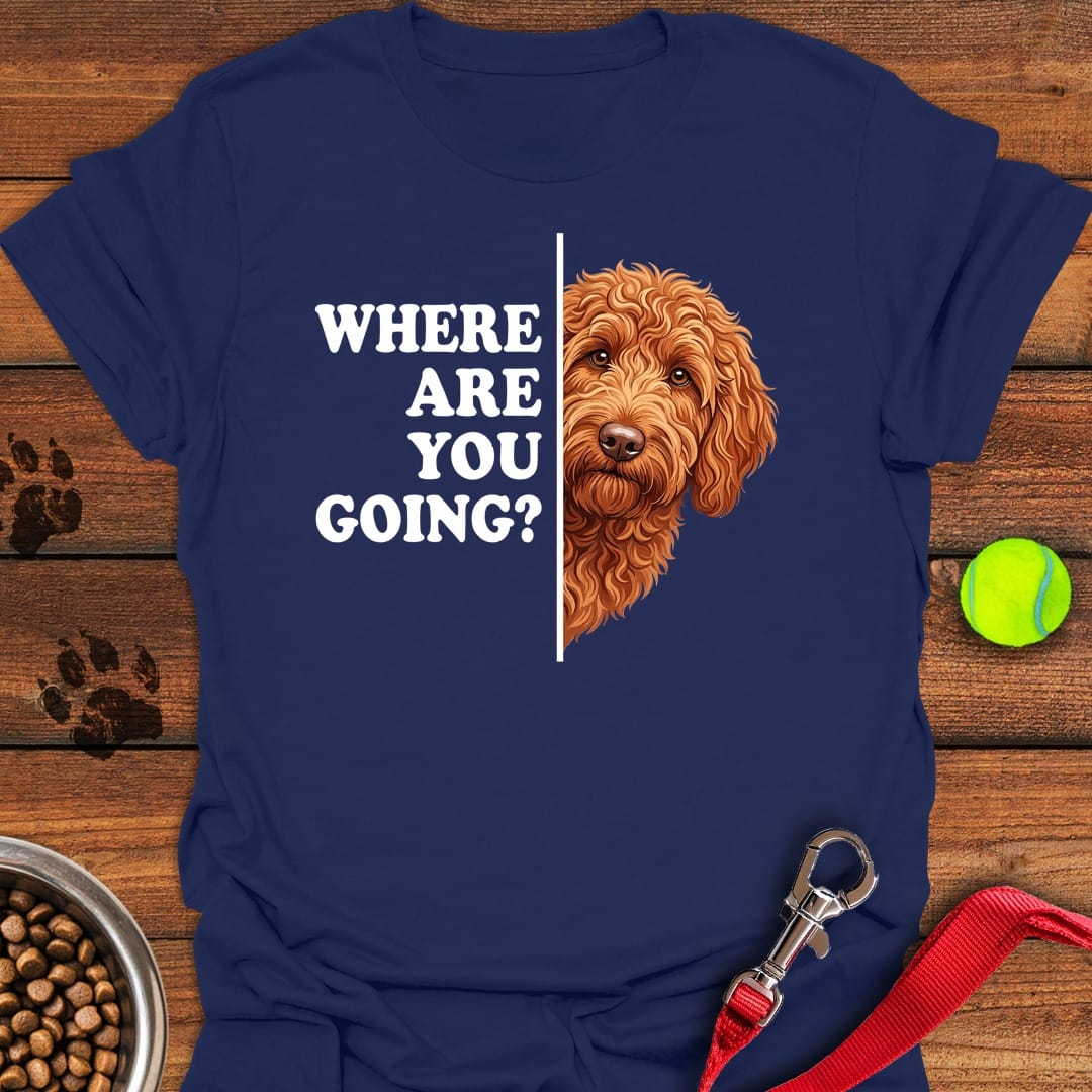 Following Labradoodle Navy