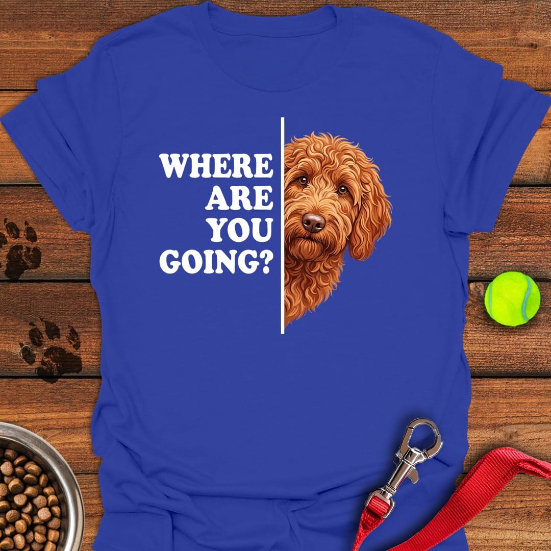 Following Labradoodle Royal