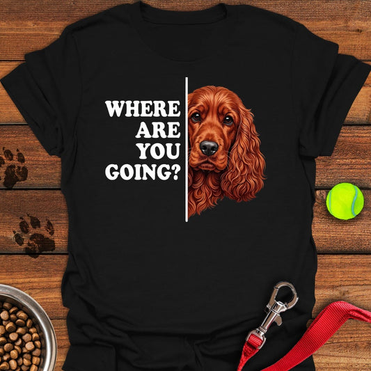 Following Red Cocker Spaniel Black