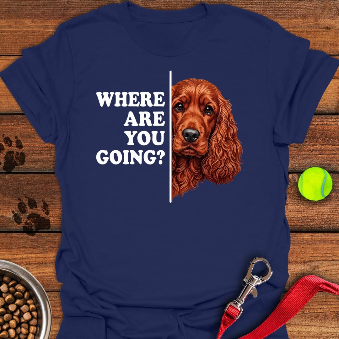 Following Red Cocker Spaniel Navy