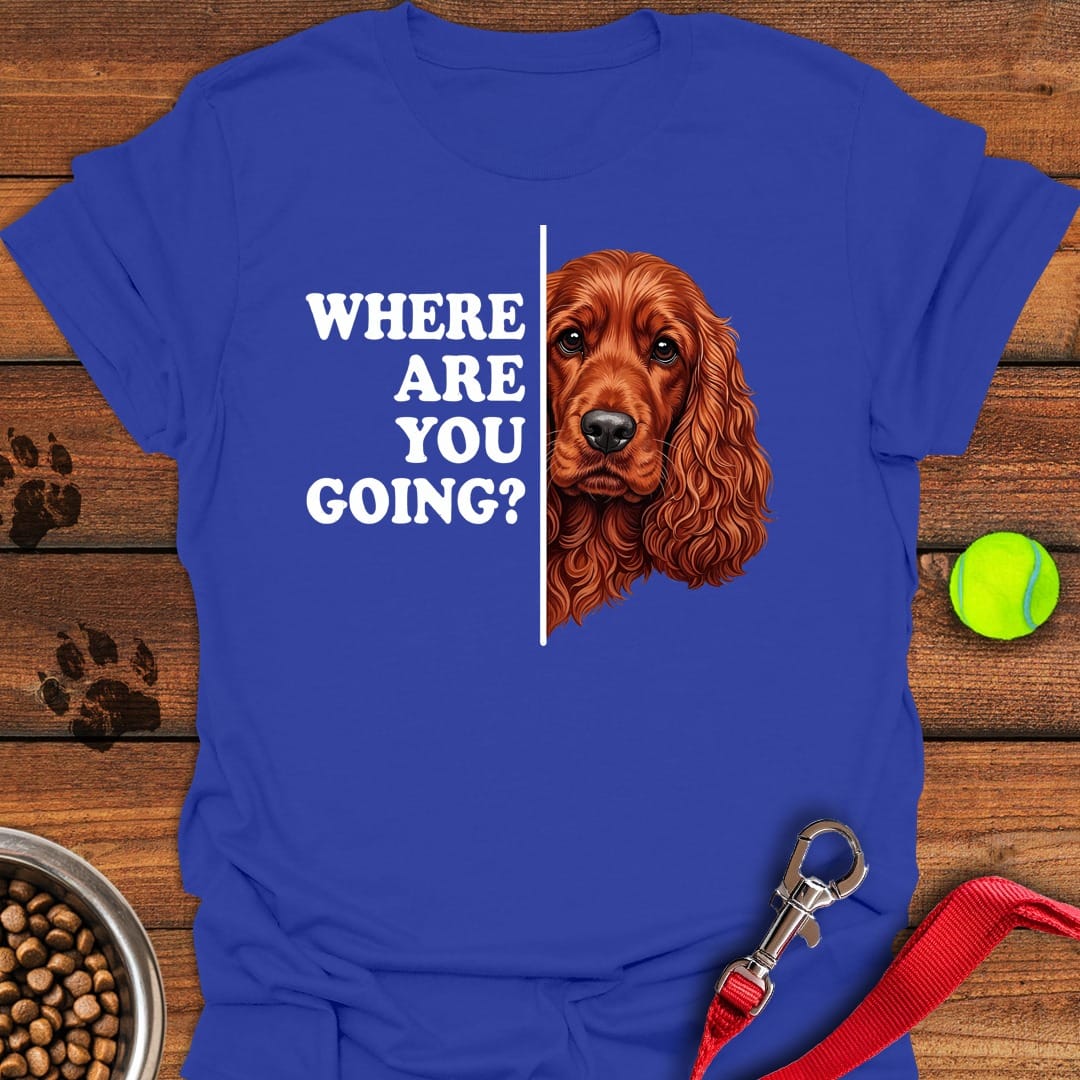 Following Red Cocker Spaniel Royal