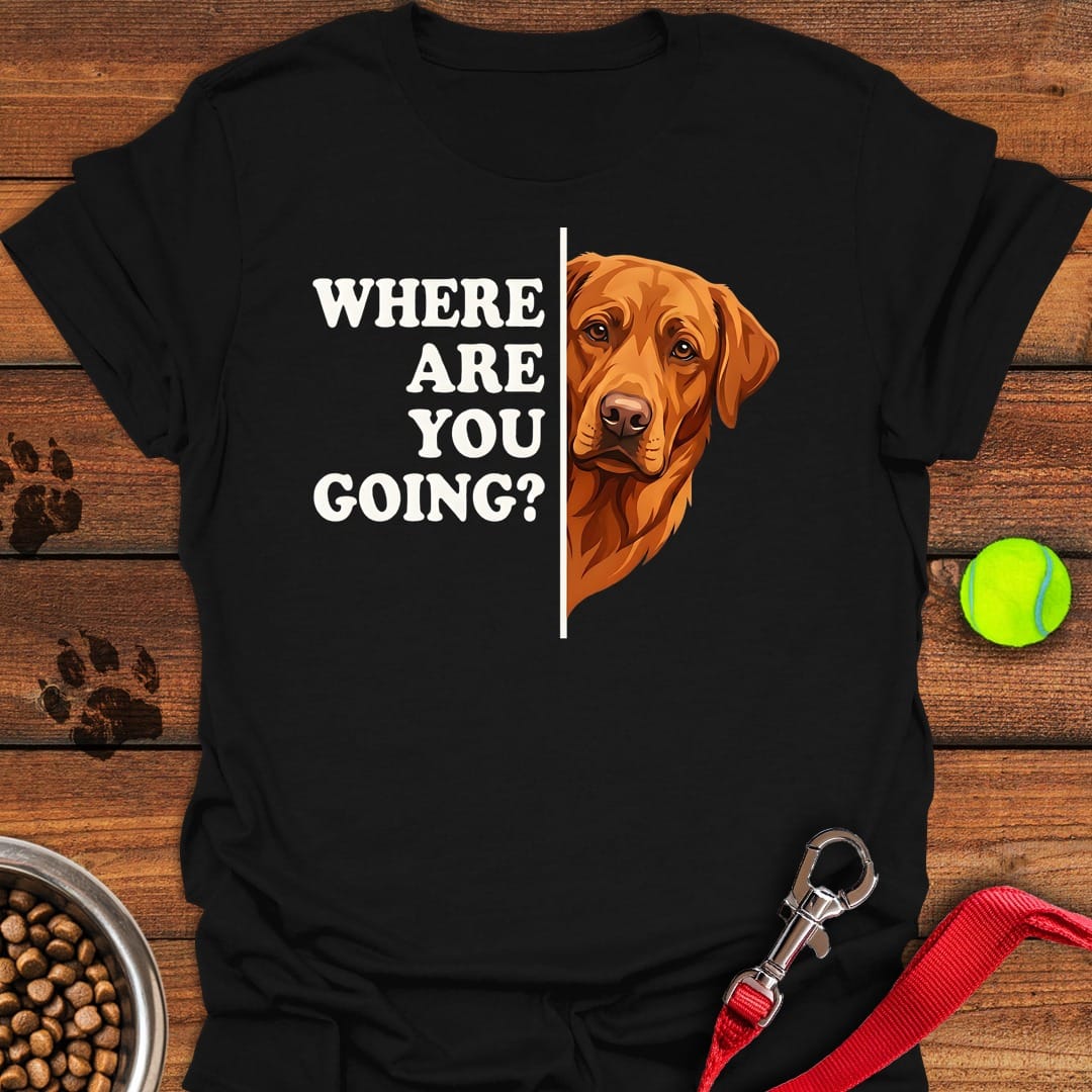 Fox Red Lab Following Black