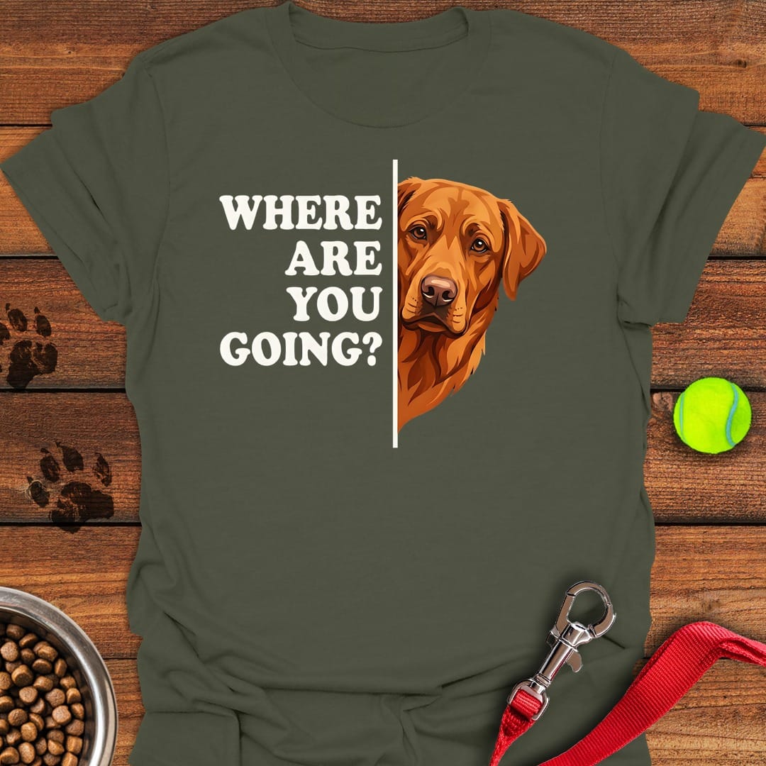 Fox Red Lab Following Military Green