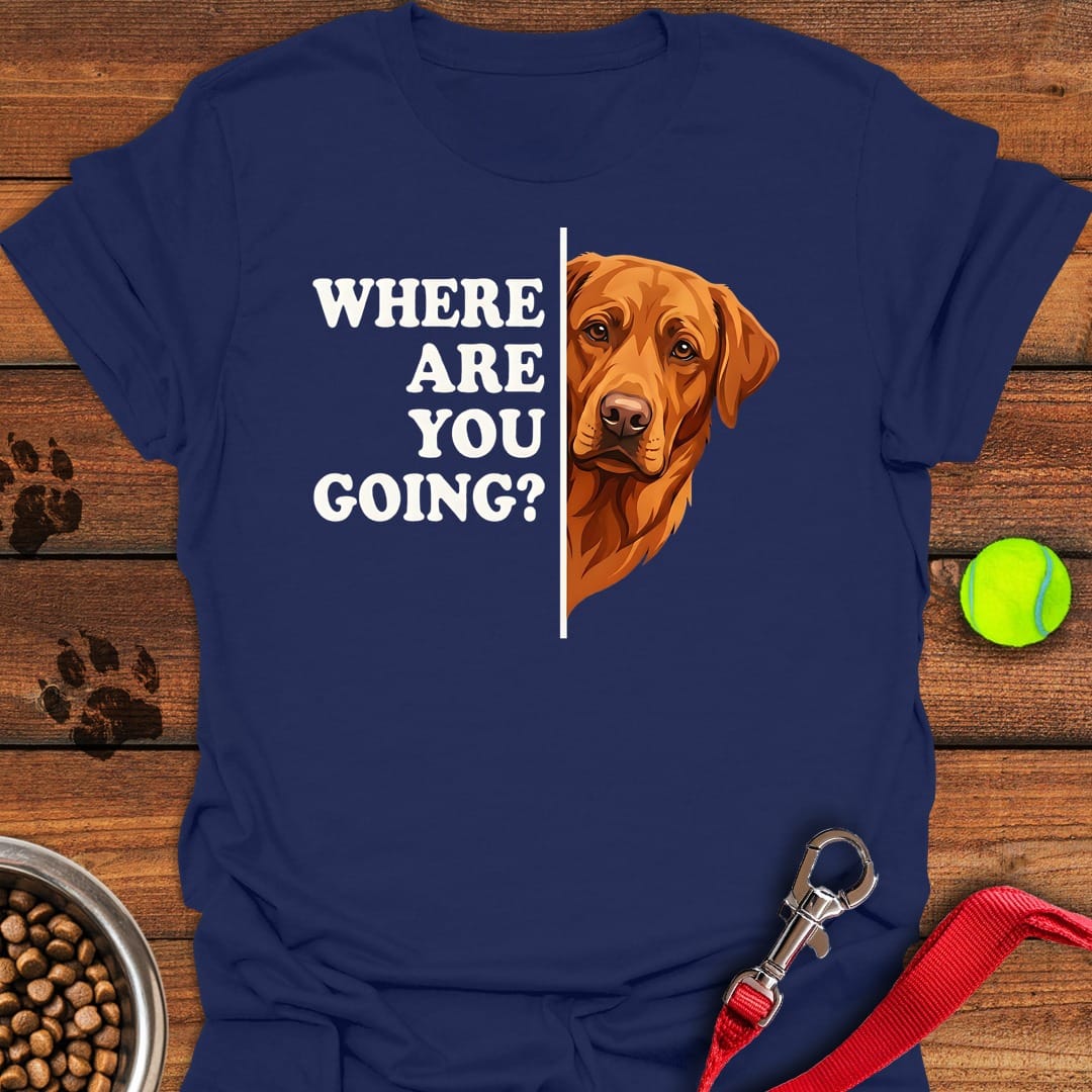 Fox Red Lab Following Navy
