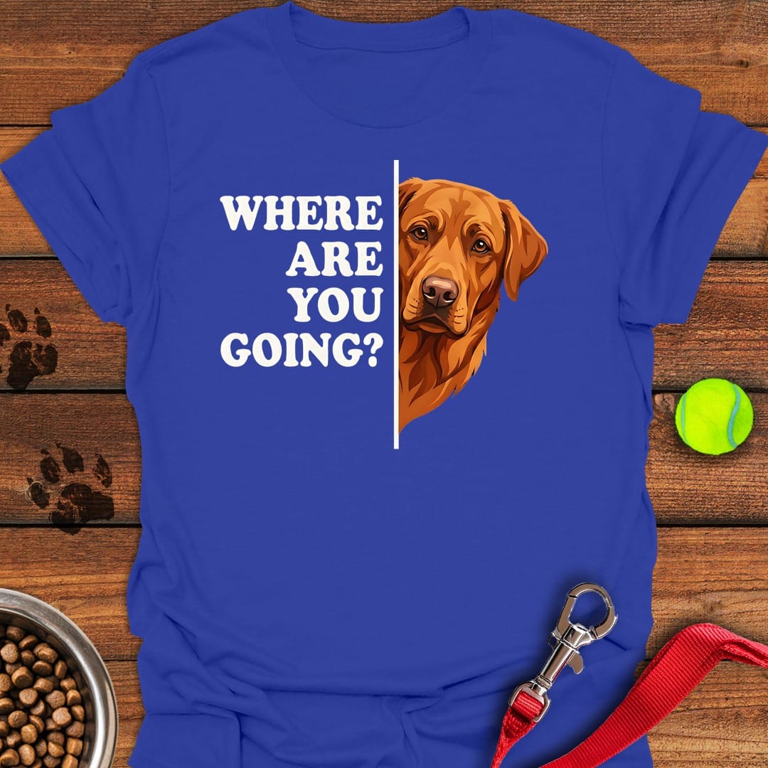 Fox Red Lab Following Royal