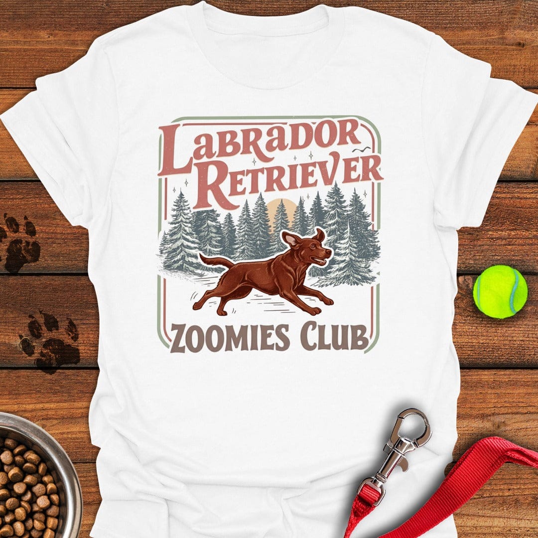 Fox Red Labrador Zoomies White