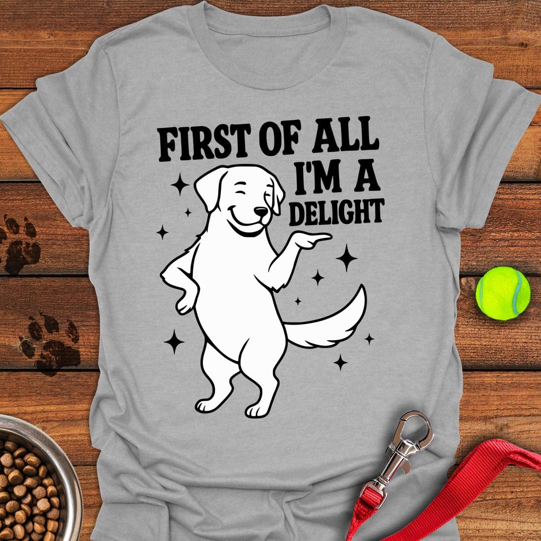 Funny Labrador Sport Grey