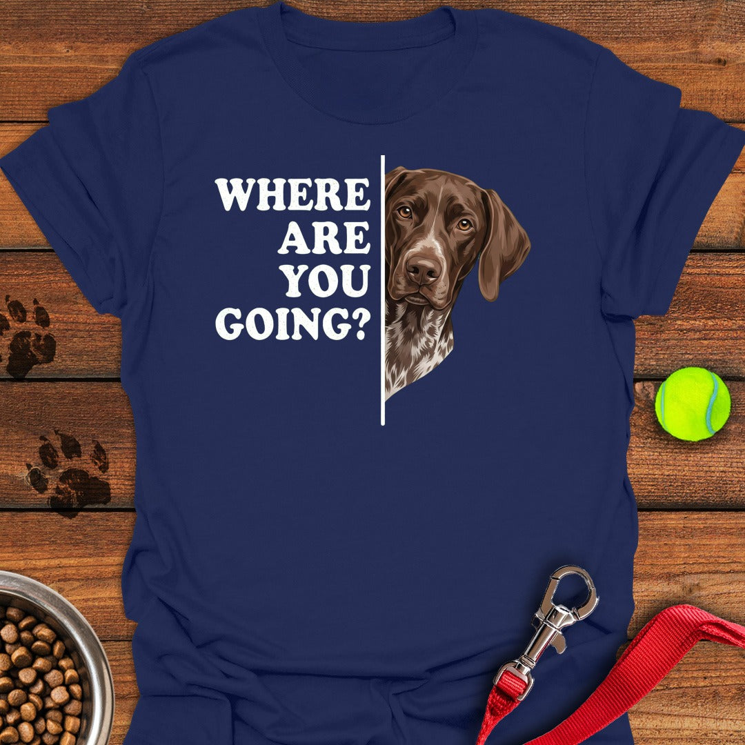 German Shorthaired Pointer Followning Navy