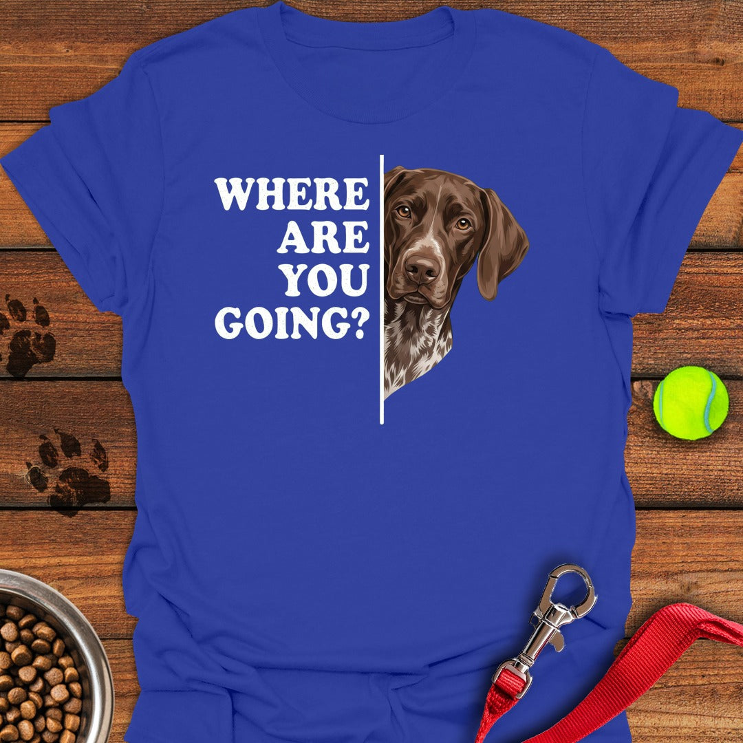 German Shorthaired Pointer Followning Royal