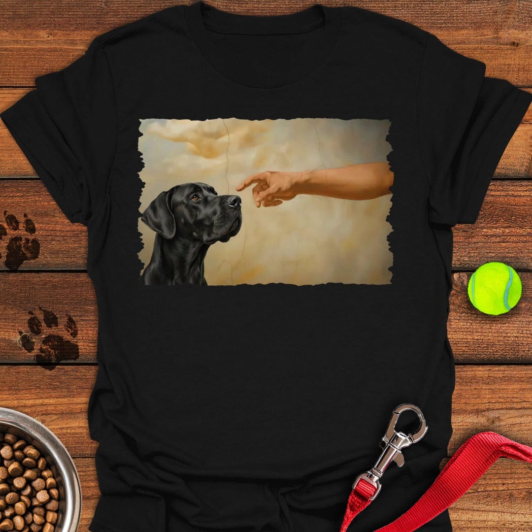 God Creates Black Great Dane Black